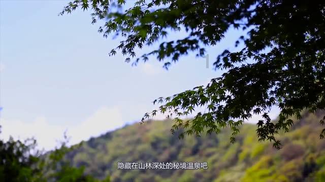 球球大作战下载最新版