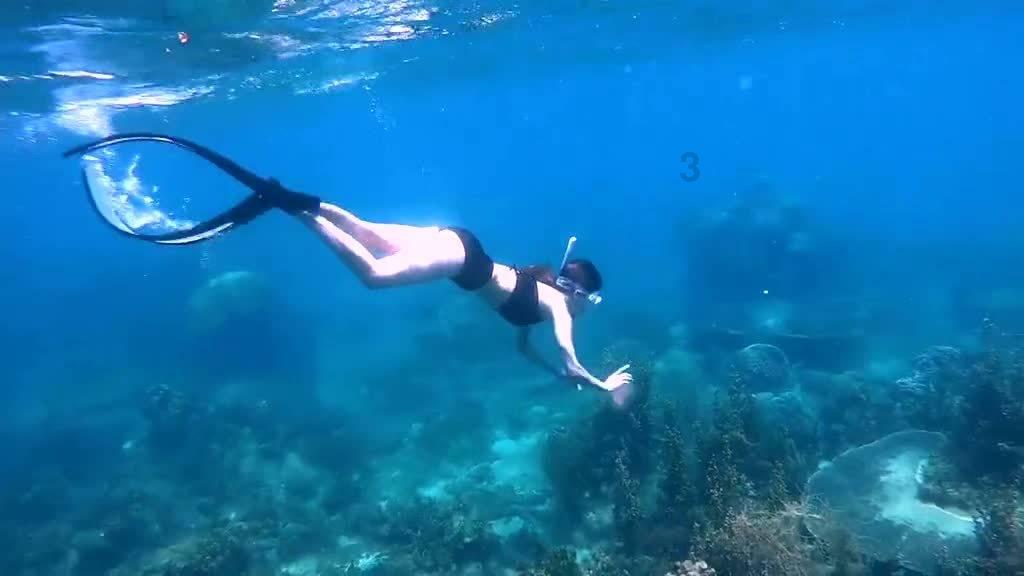 墓地风水影响家庭和睦游戏画面